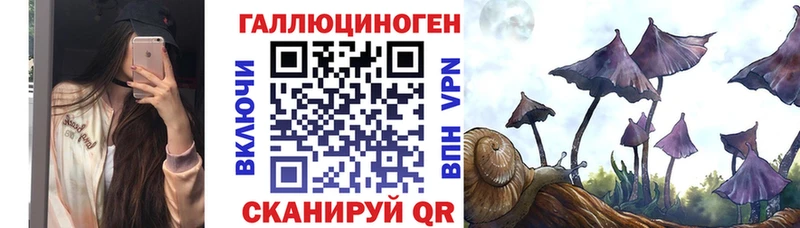 дарнет шоп  Пестово  Псилоцибиновые грибы Cubensis 